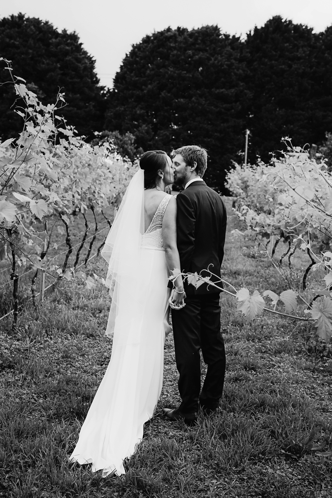 CedarCreek-Winery-Wedding-Mount-Tamborine-photography_quincenmulberry_0001